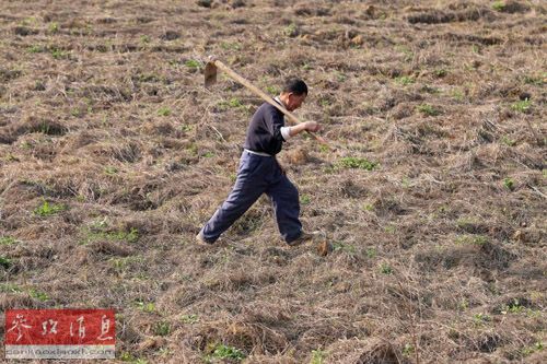 港报：中国需警惕重金属污染毁掉农田