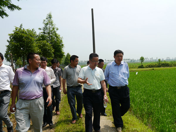 衡阳市考察组赴益阳、岳阳考察学习专业化防治的报告