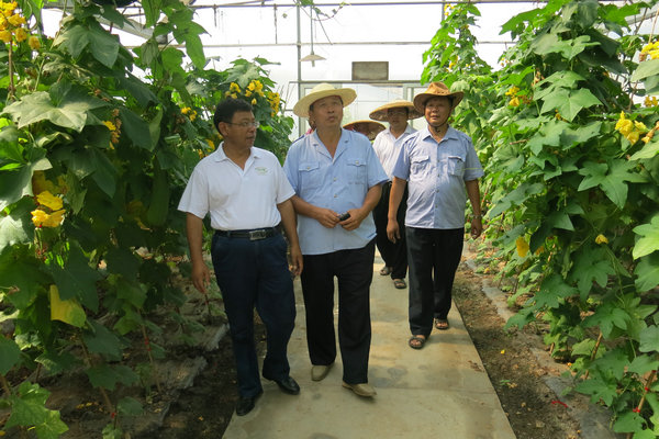 衡阳市蔬菜所制种基地顺利通过产地检疫