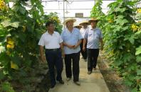衡阳市蔬菜所制种基地顺利通过产地检疫