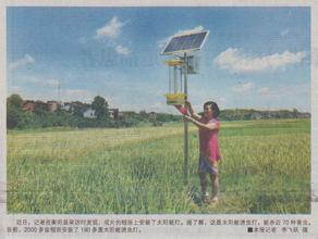 湖南安邦在2000多亩稻田安装190多盏太阳能杀虫灯