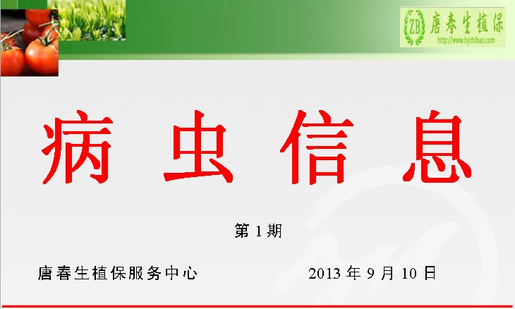 切实抓好晚稻穗期二化螟、卷叶螟、稻飞虱等病虫害防治