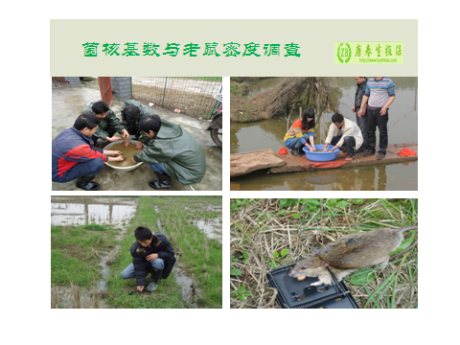 2014年全国农作物重大病虫害发生趋势预报