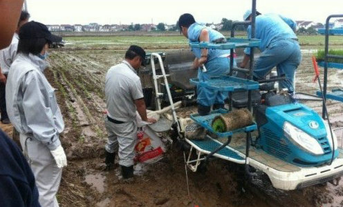 水稻“秧肥同播”在南方省区试行