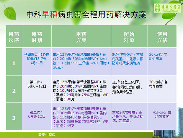 中科水稻主要病虫害全程用药实用技术手册