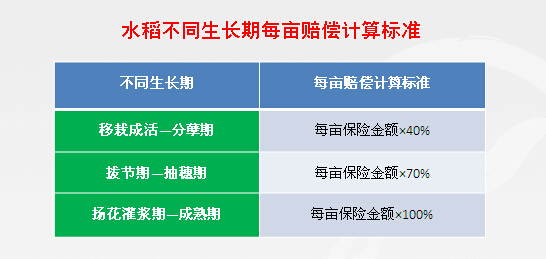 韶关市政策性水稻种植保险理赔操作细则