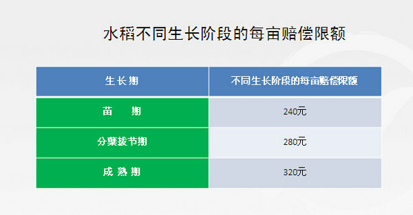 水稻、棉花、油菜、玉米、烟叶、蔬菜保险亩赔标准及费率