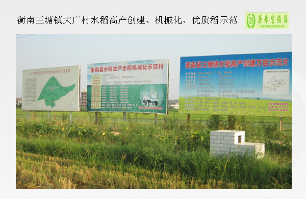 晚稻机插田新的除草剂试验在衡南三塘镇大广村启动