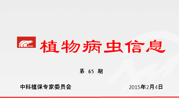 2015年农作物重大病虫呈重发趋势，农业部门应加强预测防控