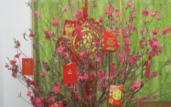 2015，唐春生植保羊年祝福（请欣赏2015春节联欢晚会）