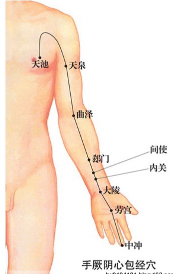 视频: 心包经自行拍打1_酒店宾馆_唐春生