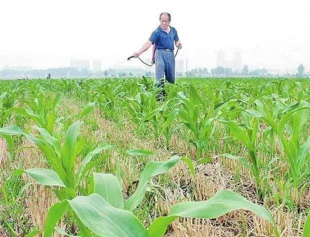 56种类常用除草剂安全使用的点评