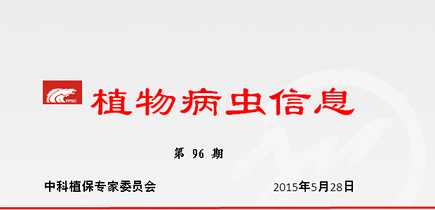 以补打一代二化螟为主要病虫害的特殊配方推荐