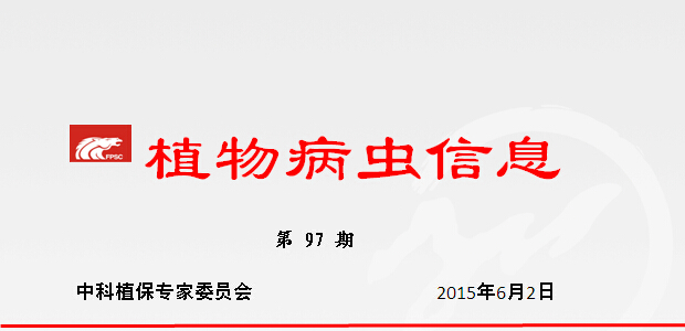 南方稻区“两迁”害虫呈重发态势　各地需提高警惕