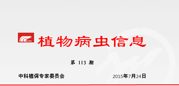 认真抓好中稻、一季稻病虫害防治工作