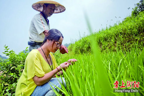 姚建华的生态农业致富梦