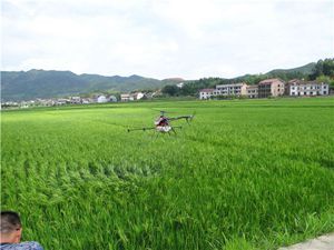 衡山县无人飞机施药试飞成功