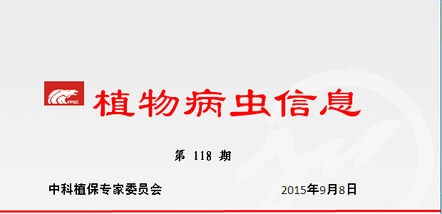 抓好晚稻穗期病虫防治工作，实现虫口夺粮确保丰收