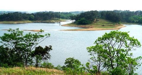 广水市长岭镇吕冲村“1＋x”模式让贫困村稳定脱贫