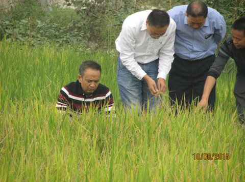 欧高财站长一行调研指导衡阳市植保植检工作