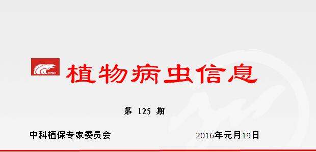 低温冰冻害对蔬菜的影响和防御、补救技术措施