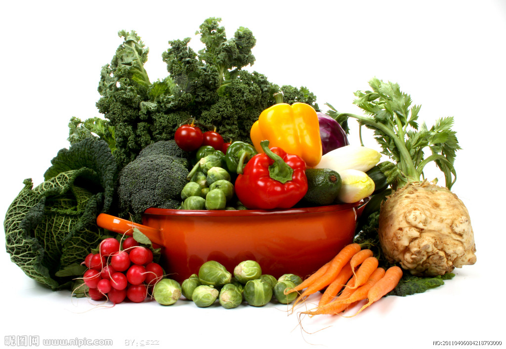 蔬菜作物间作和轮作中宜与不宜种类