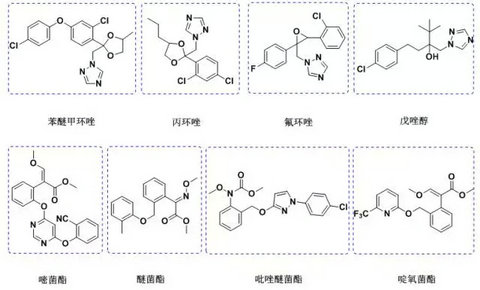 香蕉上使用杀菌剂需谨慎