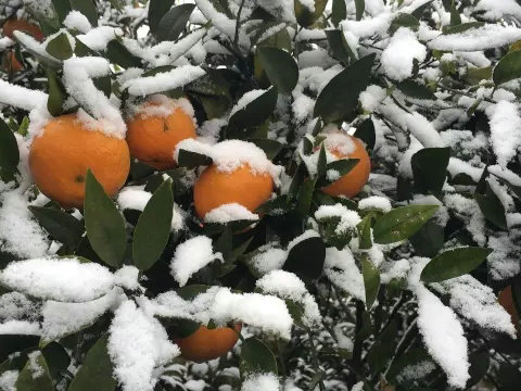 雨雪冰冻天气来临，切实做好防冻工作