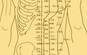 自然养生东东谈:艾灸督脉神奇功效与防病保健作用