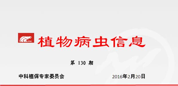 科学应对超强厄尔尼诺影响，有力有序推进农业防灾减灾