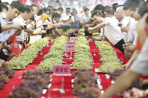 根据市场选择种植葡萄品种