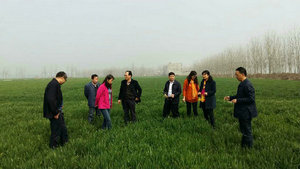 河南省2016年小麦“一喷三防”实施方案