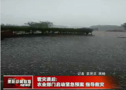 雹灾袭后: 农业部门启动紧急预案 指导救灾