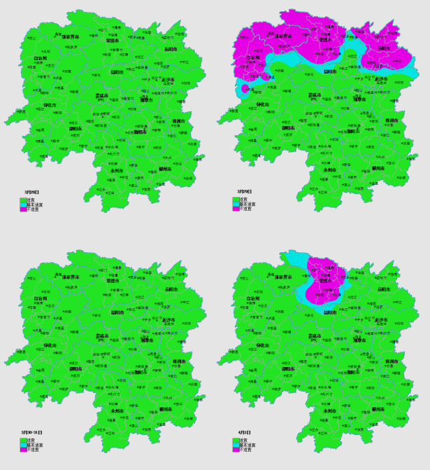 抢住春播好日子，扶针扎根不烂秧