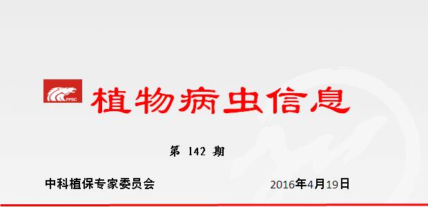 千方百计打好小麦中后期病虫防控攻坚战