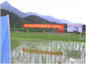 中科快讯：早稻保苗战役即将打响 南方数省秣马厉兵备战