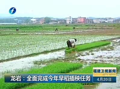 中科快讯：早稻保苗战役即将打响，中科公司快速备货配送