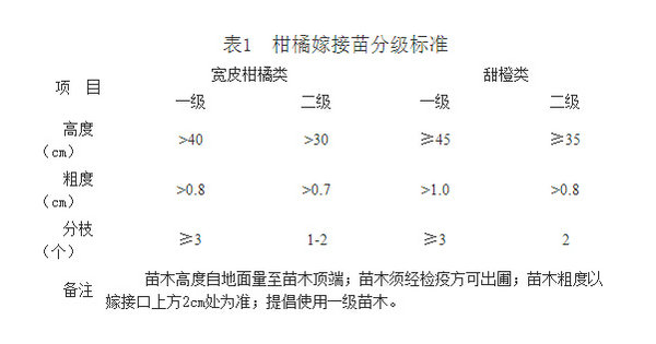 贵州无公害柑橘栽培技术