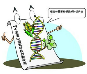 国家规划推动转基因透露哪些信号？