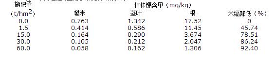 稻田镉污染及其治理修复