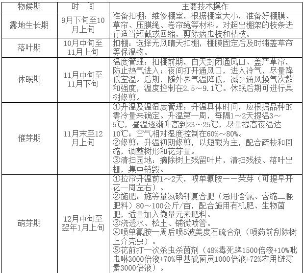 桃设施栽培周年作业历