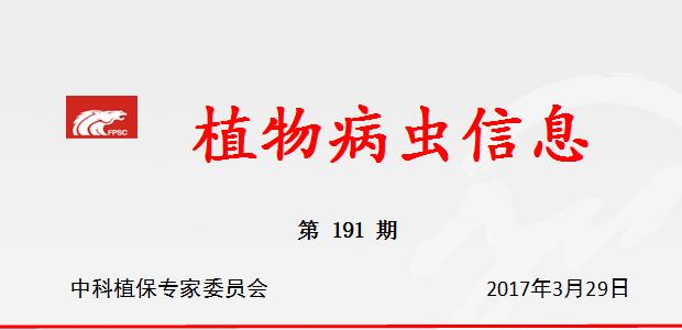 抓好当前甘蔗田病虫害的防治工作