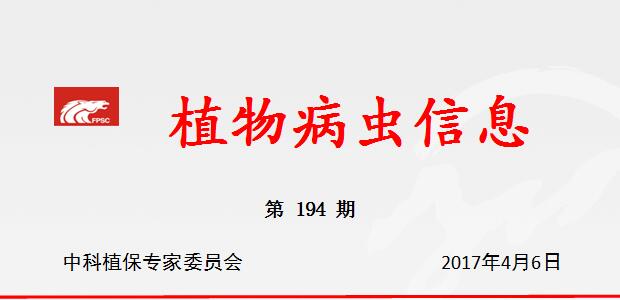 及时做好春茶前病虫害防治工作