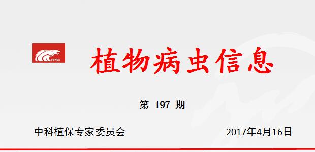 全面打好秧田送嫁药，有效预防大田病虫害发生