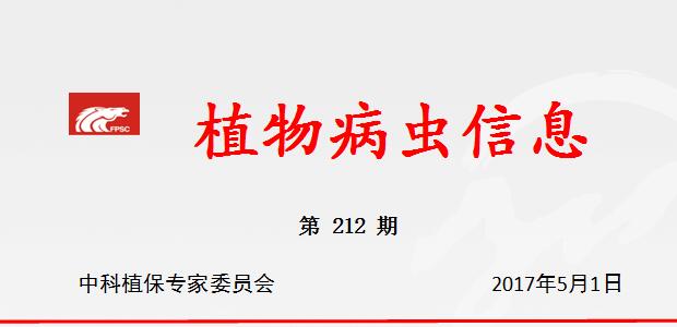 湖南怎样防治一代二化螟？专家支招