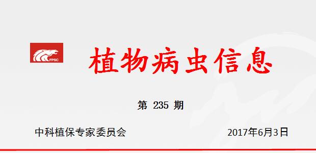 分析当前早稻病虫害发生动态，抓好早稻穗期病虫防控工作