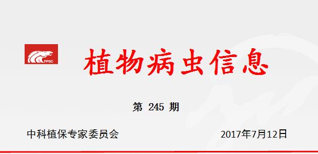 衡阳葡萄进入采收期，病虫害防治莫大意