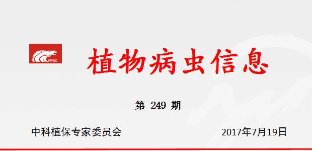 抓好三代稻纵卷叶螟病虫害的防治工作