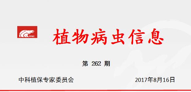 谨防蔬菜田及旱杂粮田斜纹夜蛾、甜菜夜蛾暴发成灾