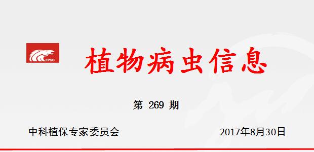 及时防治苹果园病虫害，夺取苹果丰产丰收